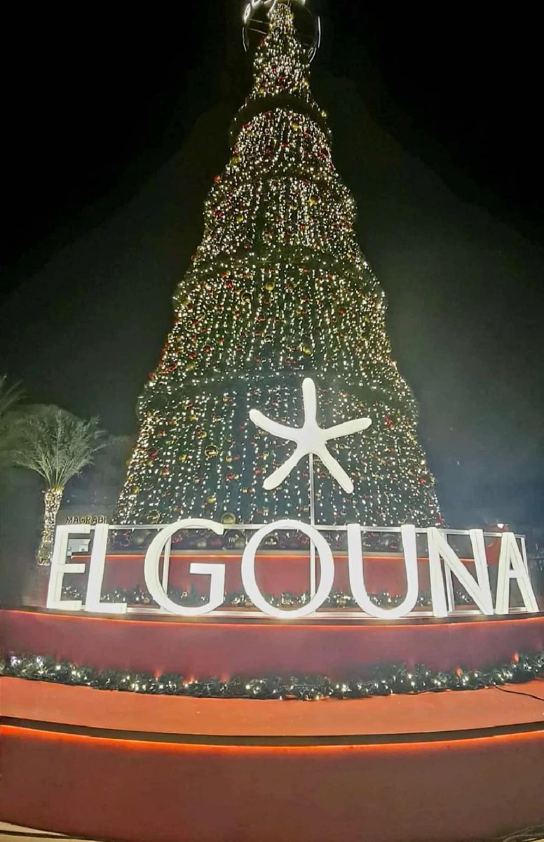 adeelsei's tweet image. 