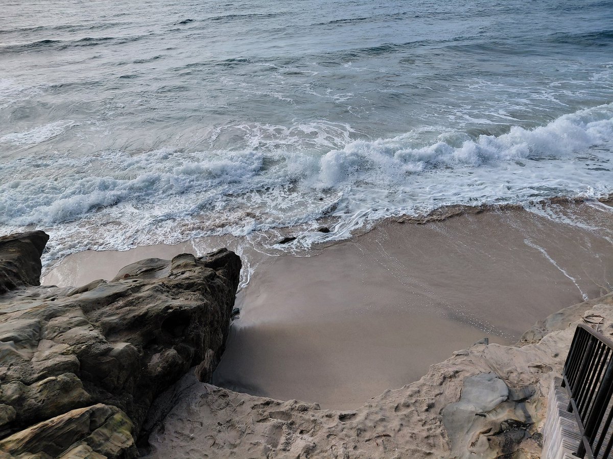 Ipsi ☀️🌱 tweet media