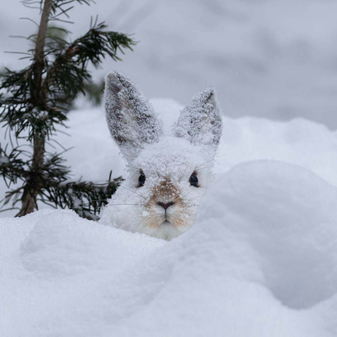 Sixrande's tweet image. 