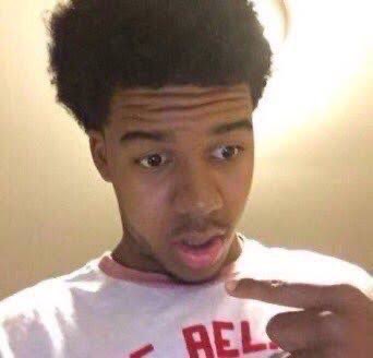 Nightshade tweet media