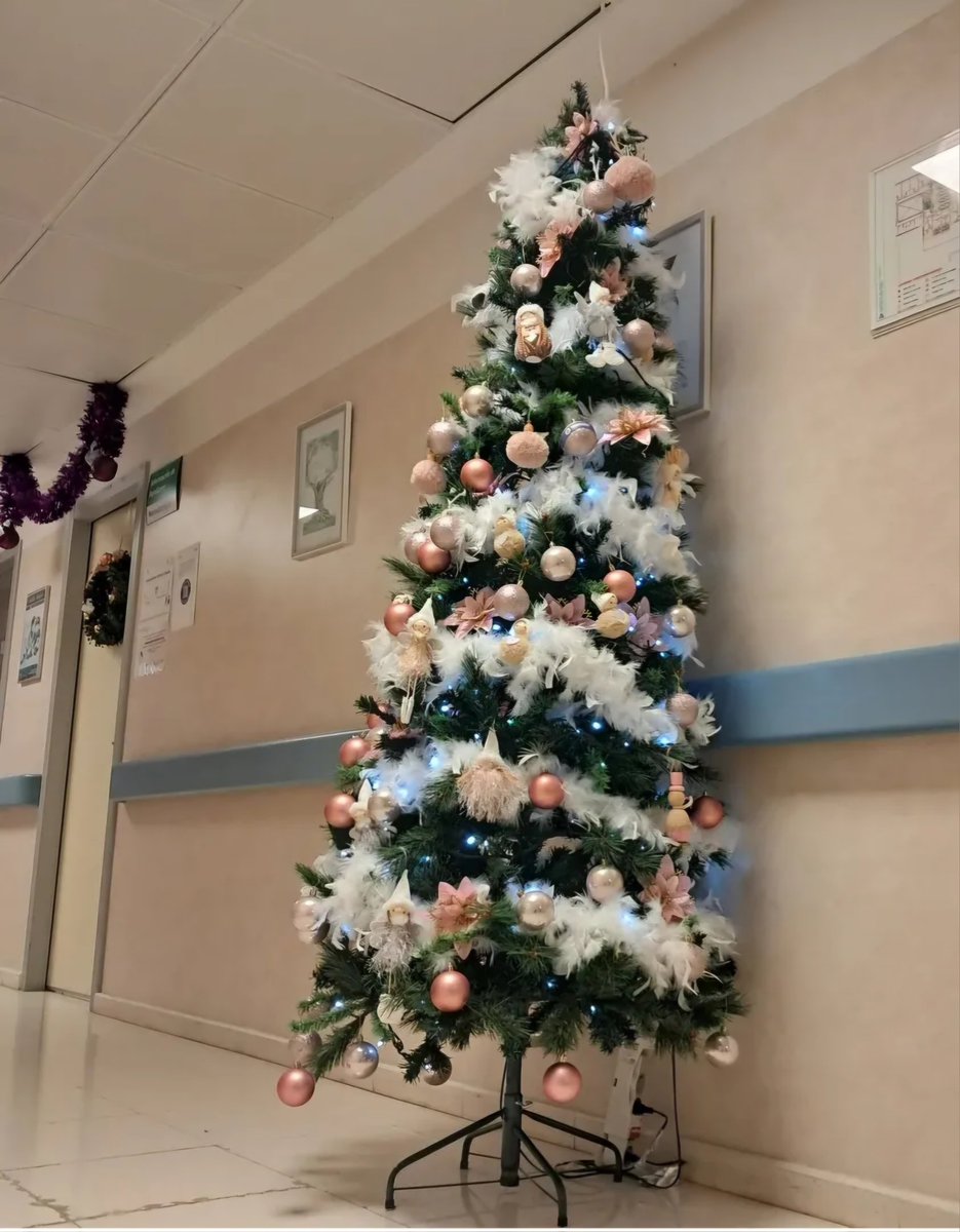 Feliz Navidad, en especial a las familias ingresadas y a los compañeros que velan por ellas.