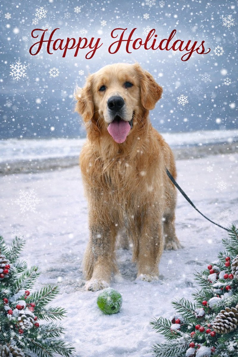 Logan & Shadow😇the Goldens tweet media