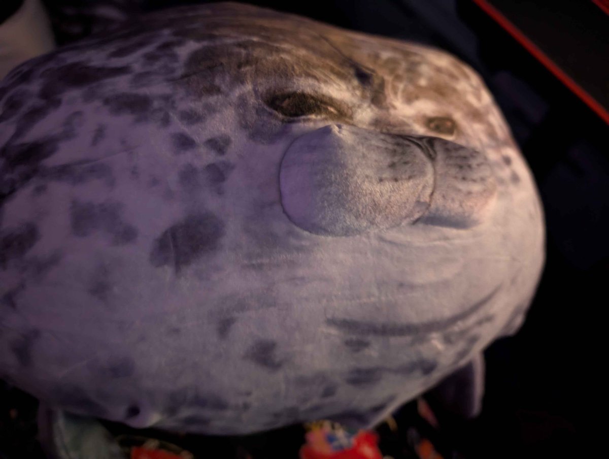 hhhfps's tweet image. merry christmas