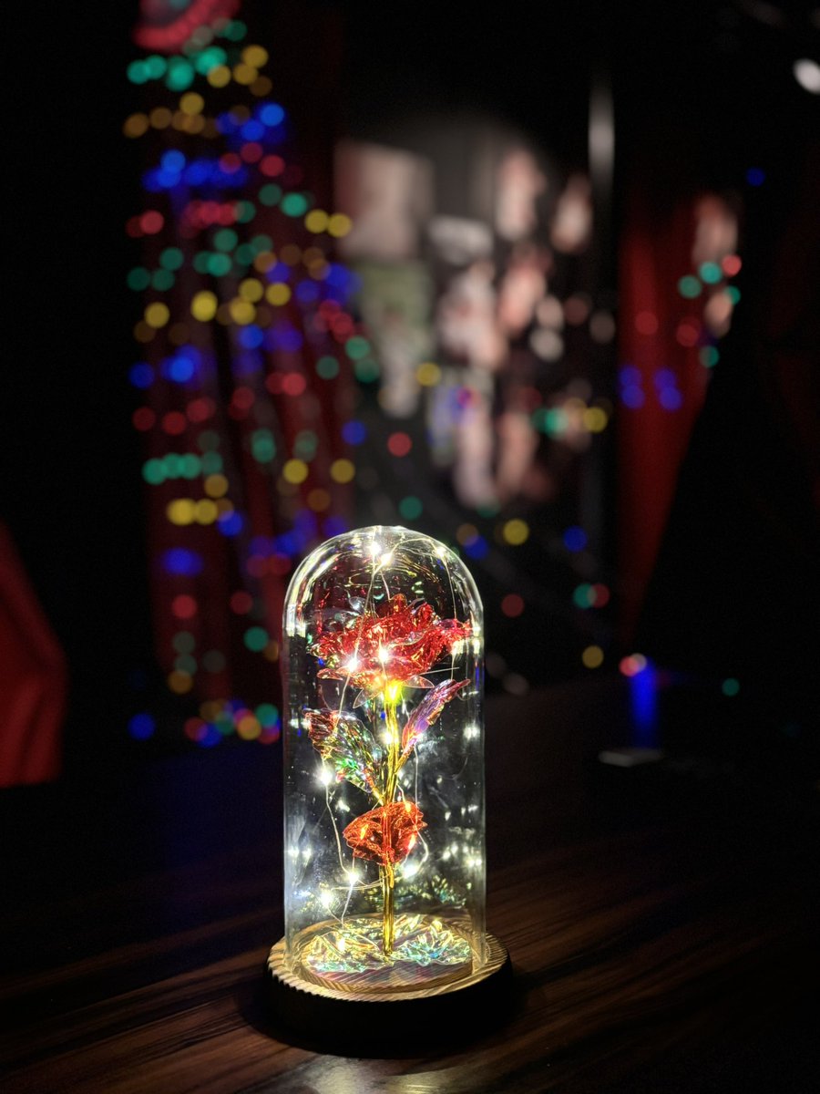 out Christmasプレゼント🎁 光る薔薇🌹✨✨ 復活や 🥂シャンパン貰え