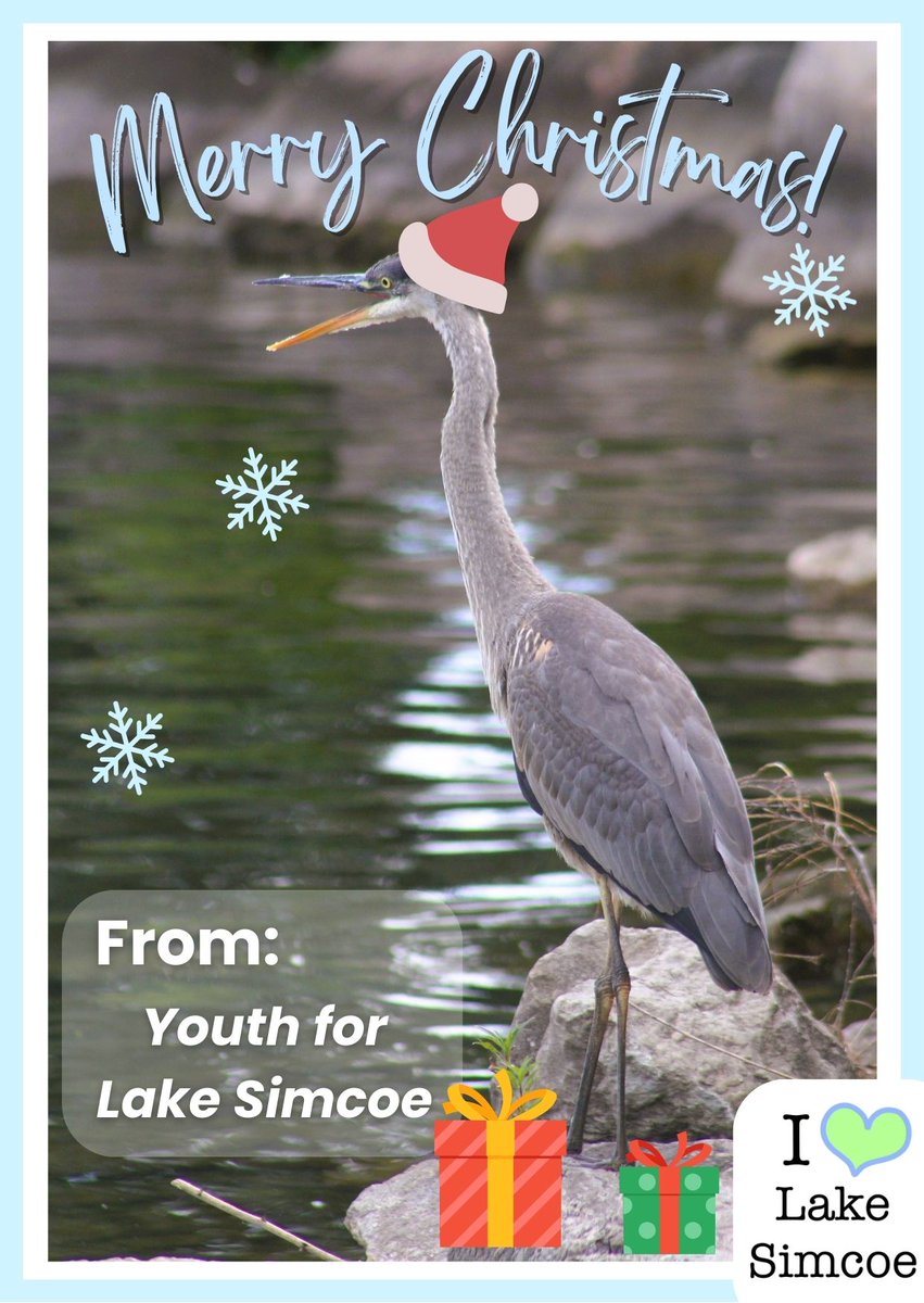 Youth for Lake Simcoe © tweet media