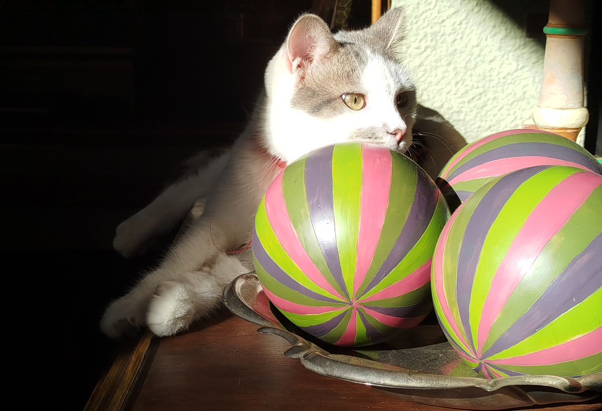 AntaMicha's tweet image. Ευχές από τη Βούλα μου