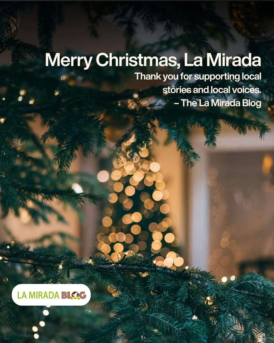 La Mirada Blog 🕊 tweet media