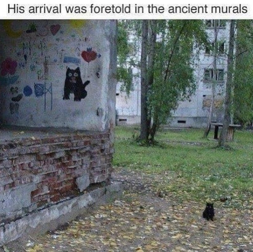 PunchingCat's tweet image. 