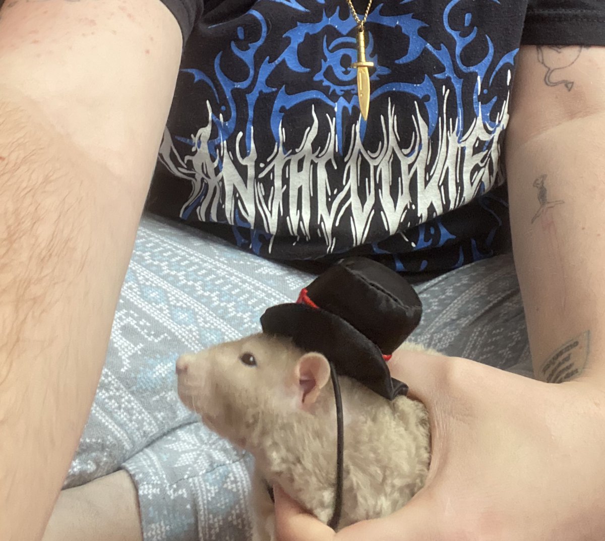 undeadSinker's tweet photo. merry christmas 🎄 #rexrats https://t.co/5aR2joPYXG