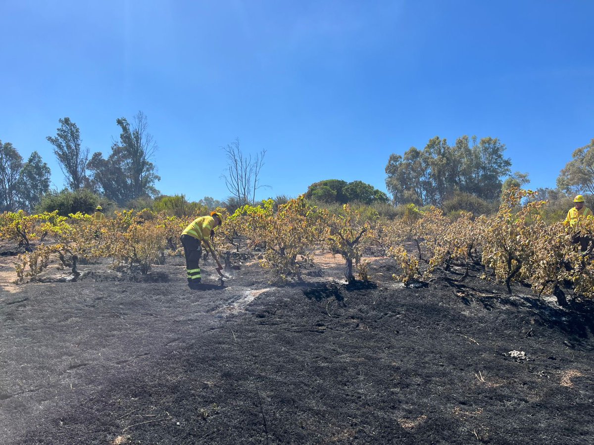 Ejército de Chile tweet media