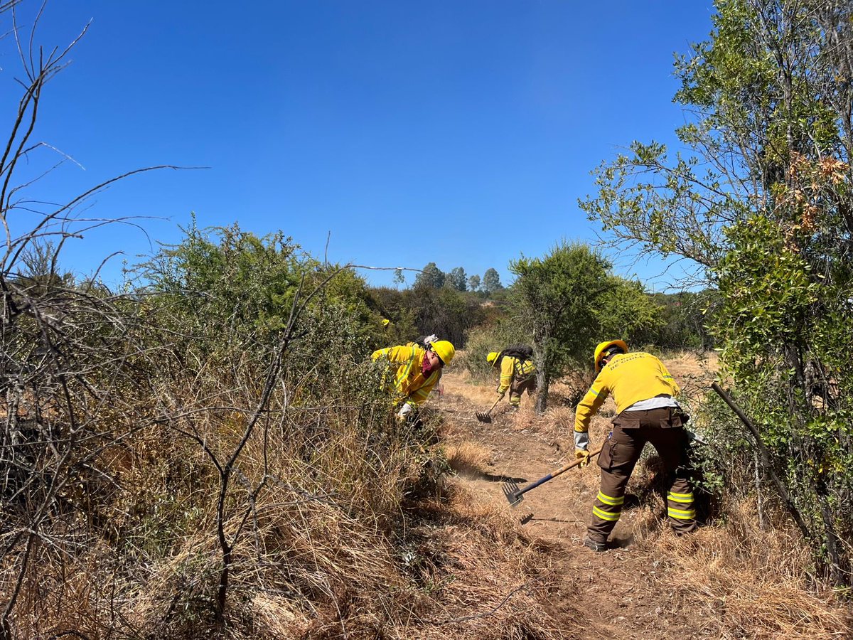 Ejército de Chile tweet media