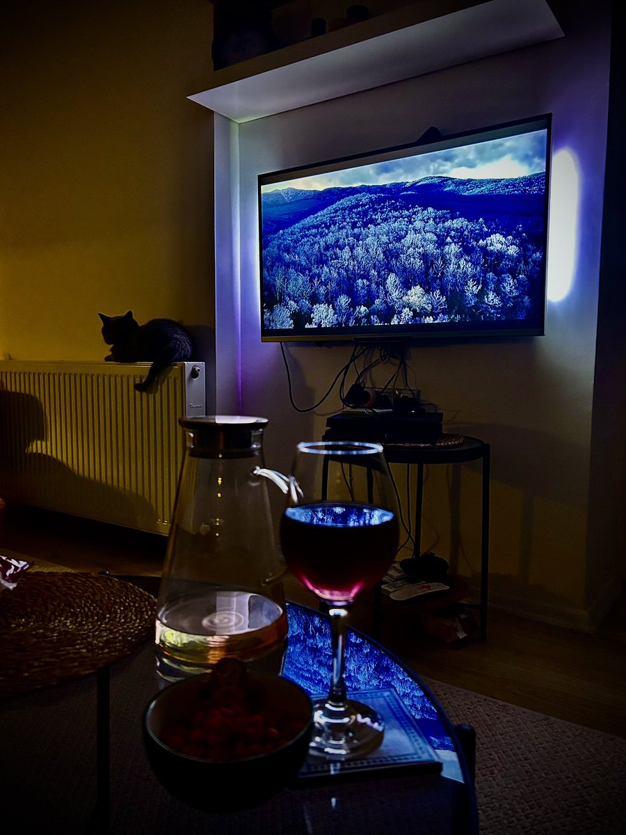 Dizi şarap &amp; kırpıkta uyuyor 🐈‍⬛🍷🎥