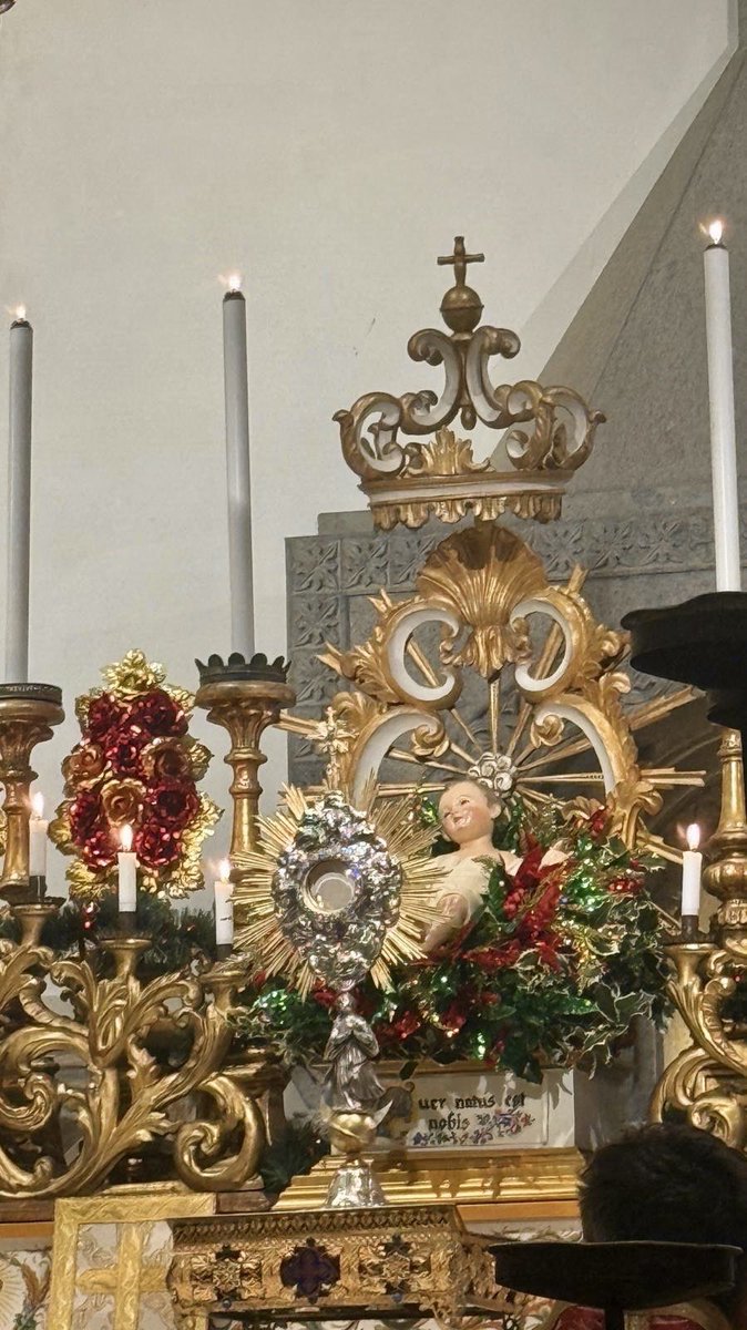 CarloMVigano's tweet image. Tu lumen, et splendor Patris,
Tu spes perennis omnium,
Intende quas fundunt preces
Tui per orbem servuli.