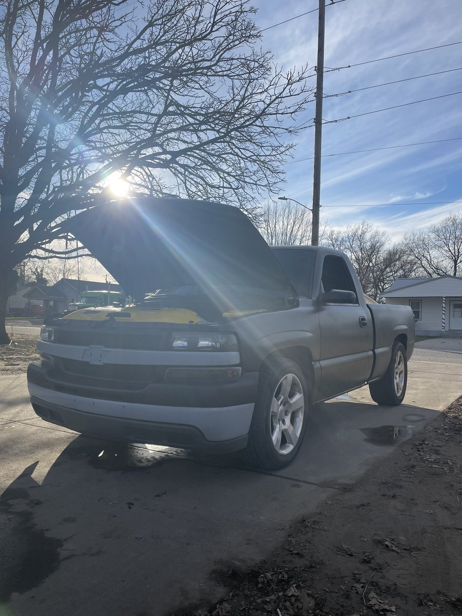 Joobs 🐻 tweet media