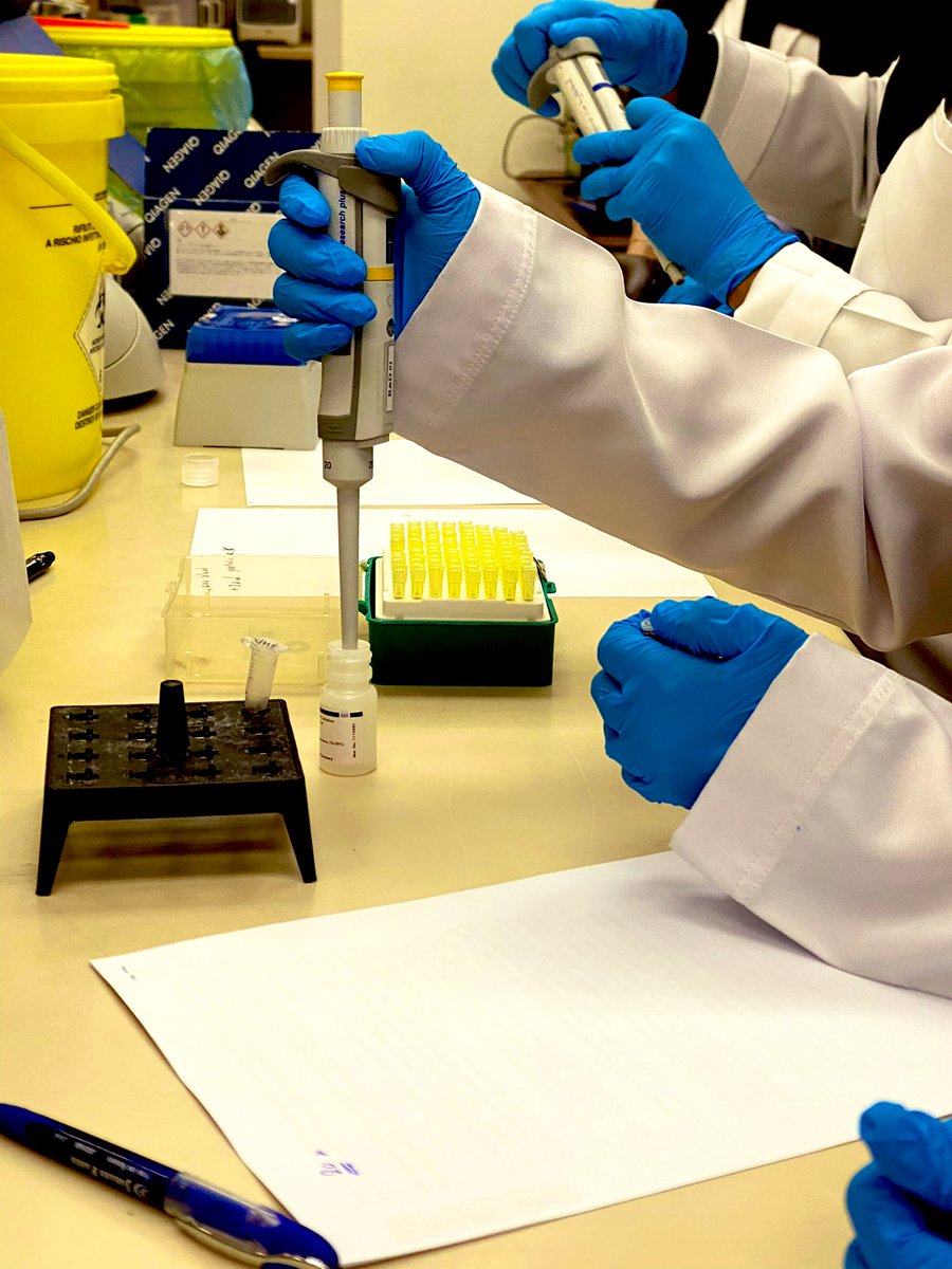 (IGMS ) معهد علوم الجينوم الطبي tweet media