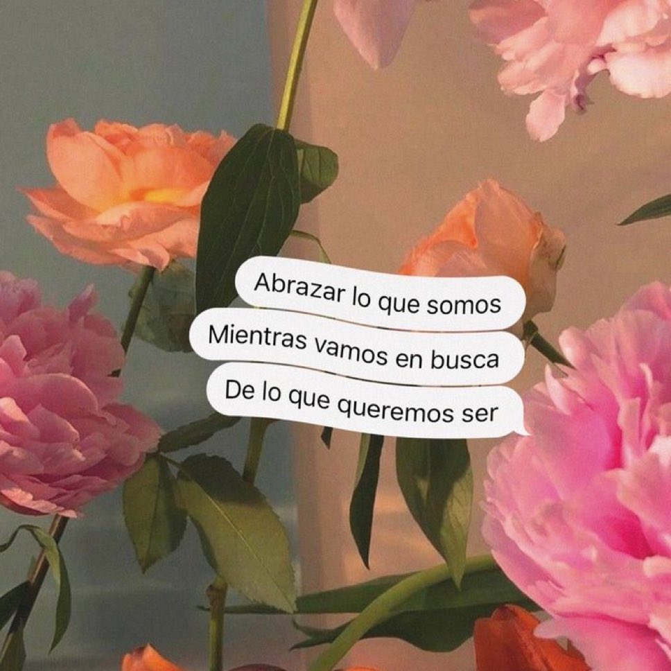 🌙 mini textos (@soyminitextos) on Twitter photo 