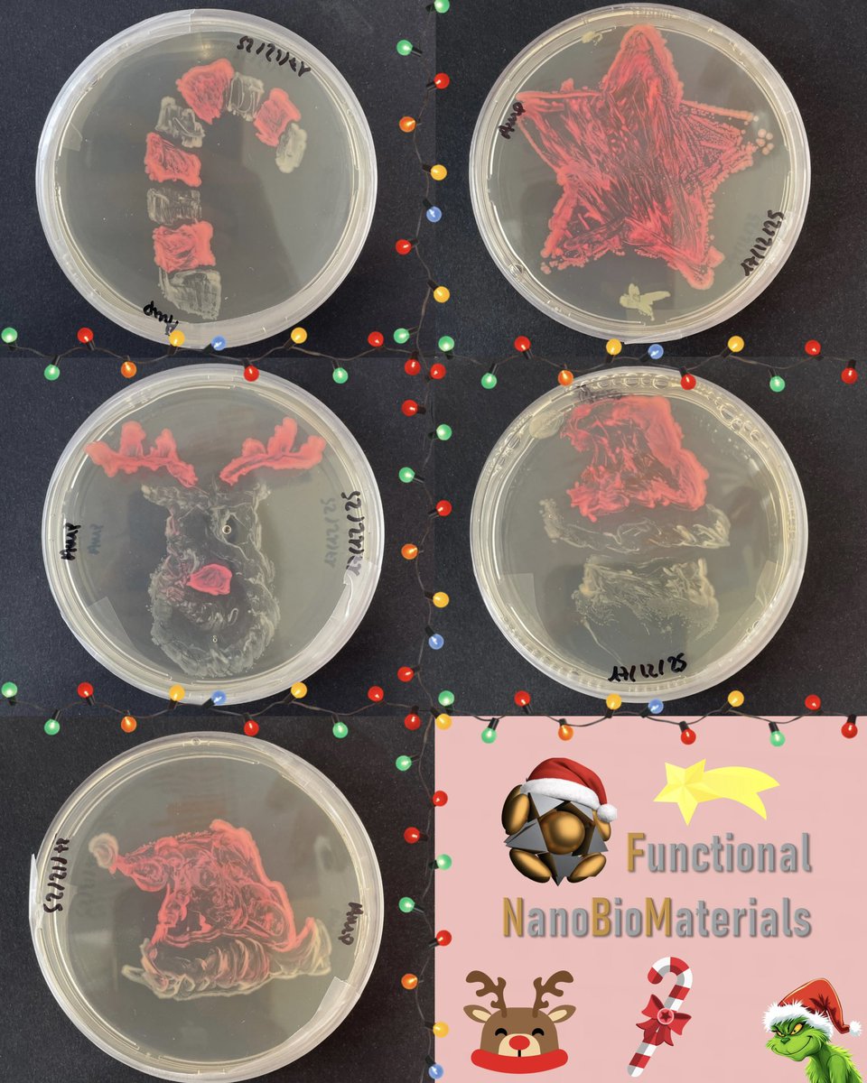 Functional NanoBioMaterials Group tweet media