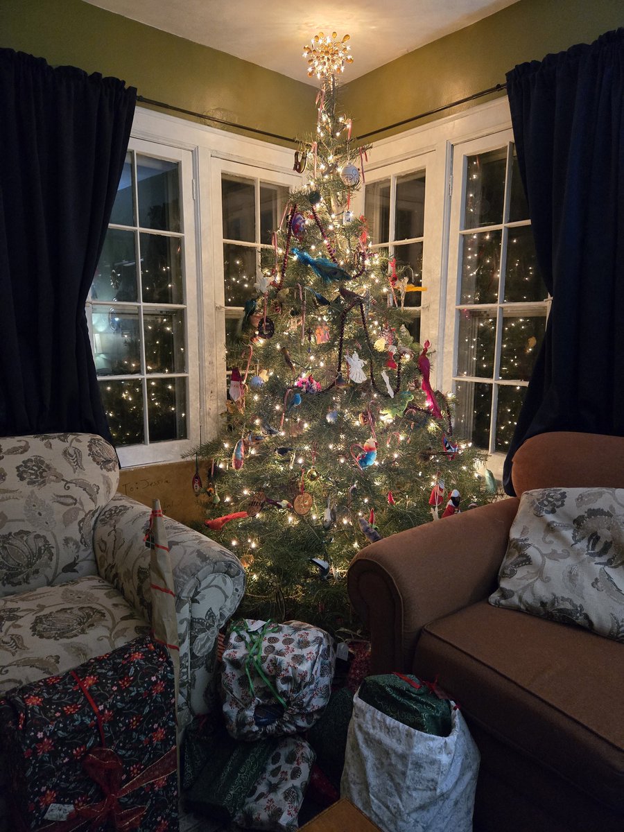 CraftWriteFlaut's tweet image. The calm before the morning's joyful noise.