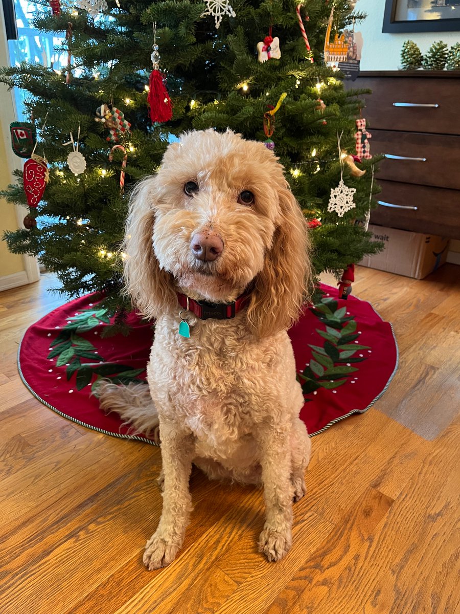 Boyd Morrison tweet media