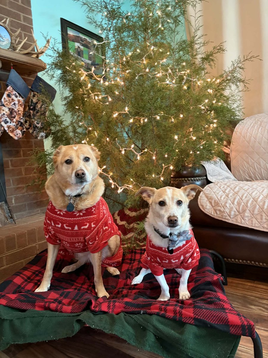 PILoSSopher tweet media