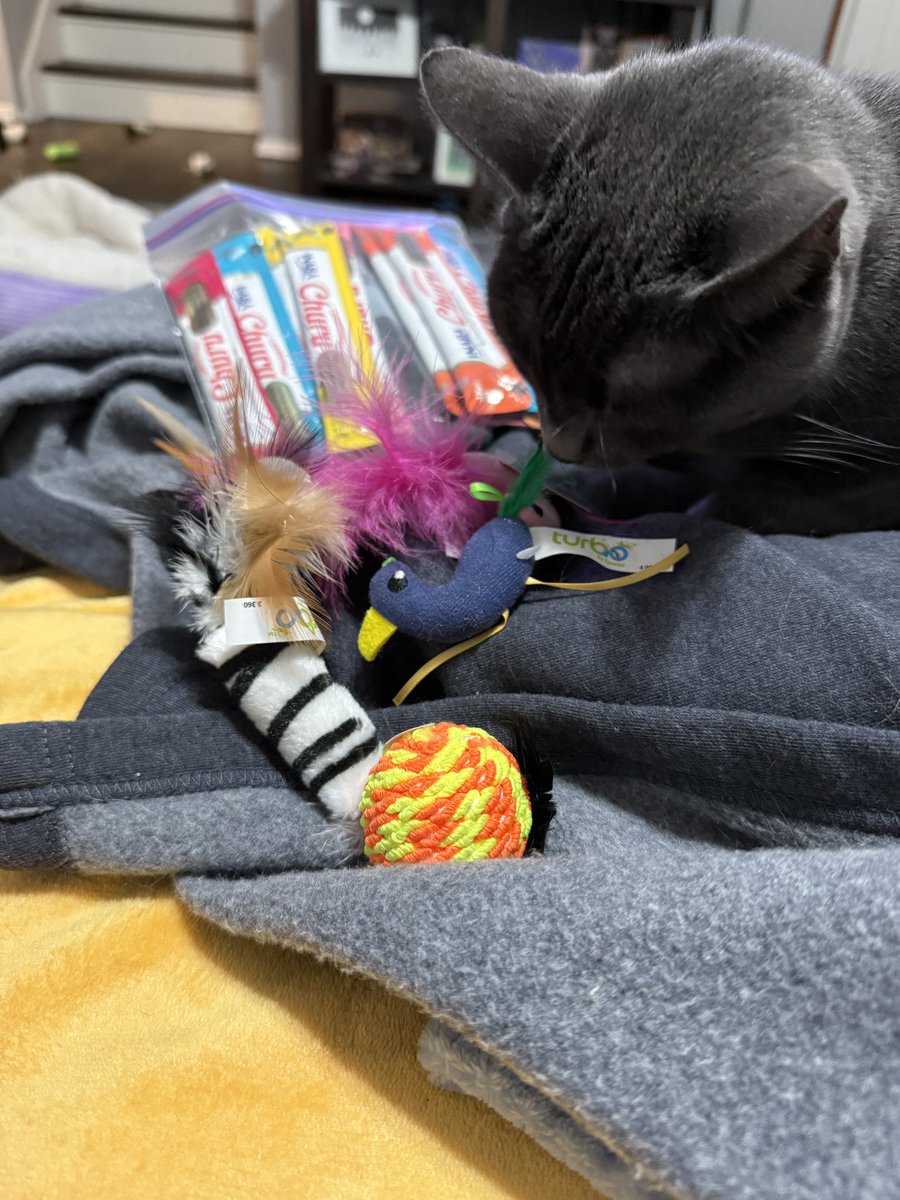 Lily Doodle 🌈 Po & Elphaba 🐈🐈‍⬛ tweet media