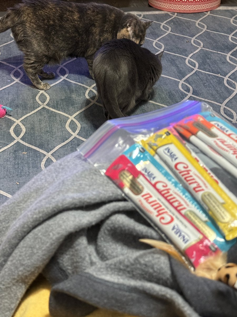 Lily Doodle 🌈 Po & Elphaba 🐈🐈‍⬛ tweet media