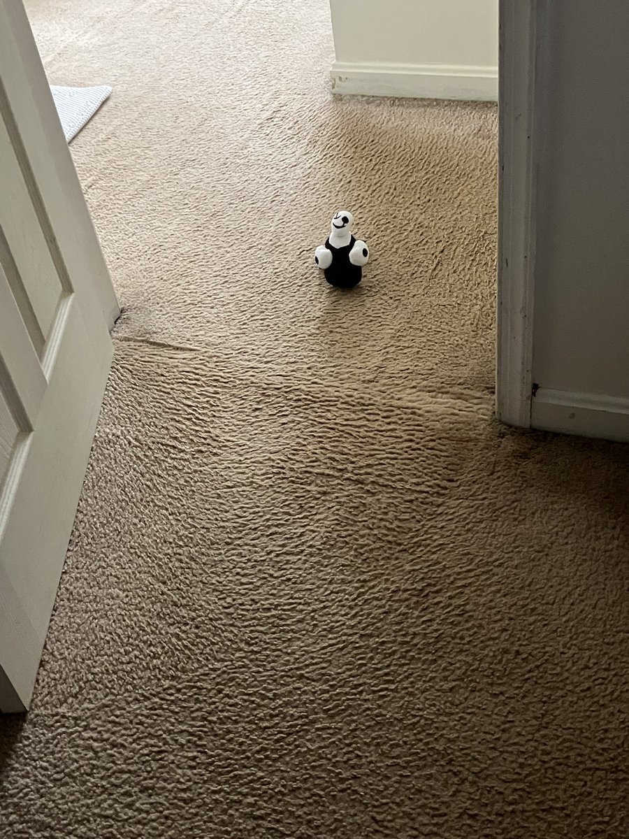ttrashcatt_'s tweet image. yall im so fucking scared look at who just knocked on my door
