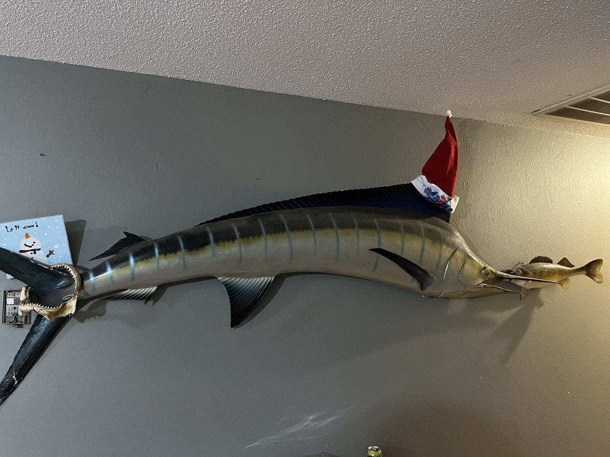 merry christmas, behold our festive fish