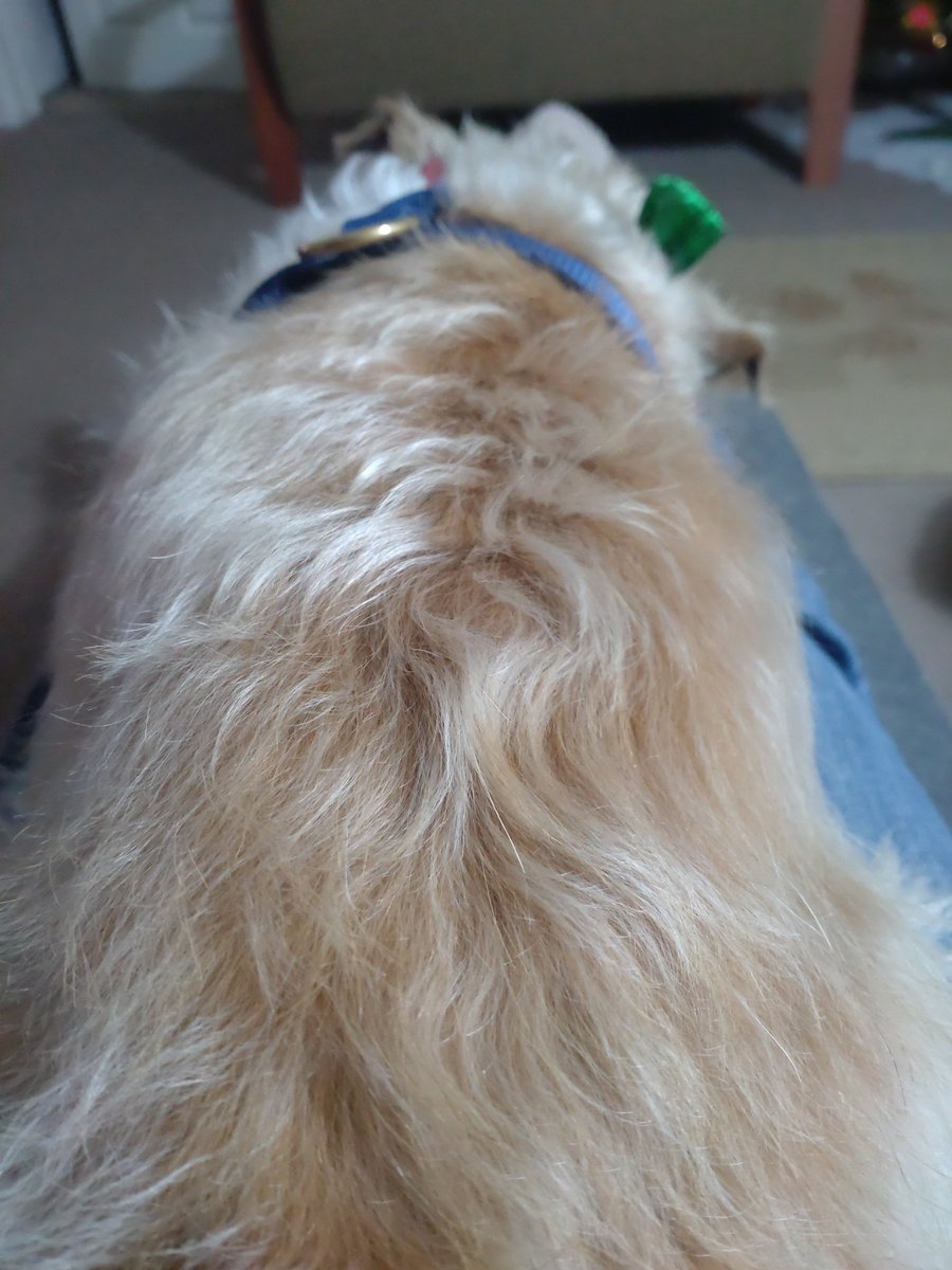 Katrina 💙 tweet media