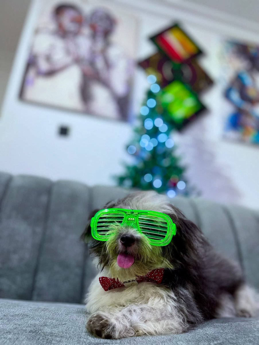 Korehday's tweet photo. This Xmas, we see with hearts made luminous by Christ.
Where lights shimmer &amp; colors breathe, His love becomes our true vision, steady, eternal &amp; alive.
May we look beyond the surface, love beyond measure &amp; walk in d light that never fades.
Merry Xmas 4rm us 🐶
#mylife #DavidKATT https://t.co/H8eOE3GQXA