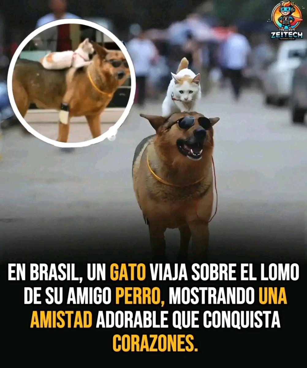 Memes de Risa😂😂, image size:1002x1200