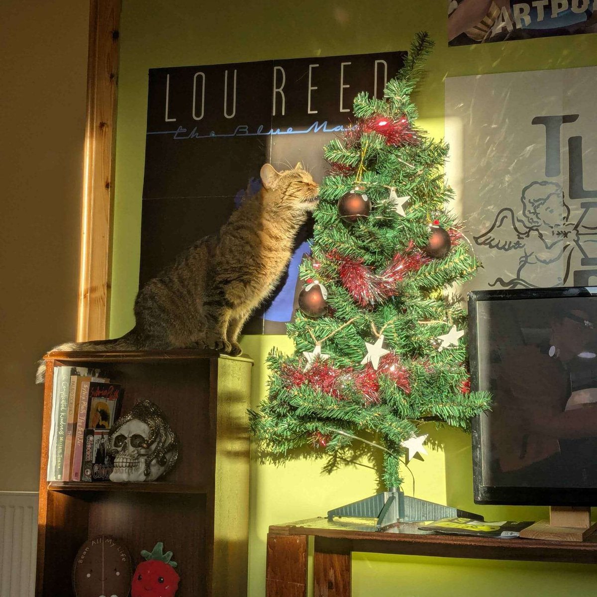 sarahweisters's tweet image. X-MAS ARTY FARTY ☃️ Happy Holidays, everyone!
☾ 100 Days of Streaming: DAY 67

LIVE NOW ꨄ︎ twitch.tv/punkosy_

#art #artwork #artstream #twitchaffiliate #Christmas #Christmas2025 #ChristmasDay #streamergirl #xmas #SupportSmallStreamers #Xmas2025 #XmasDay