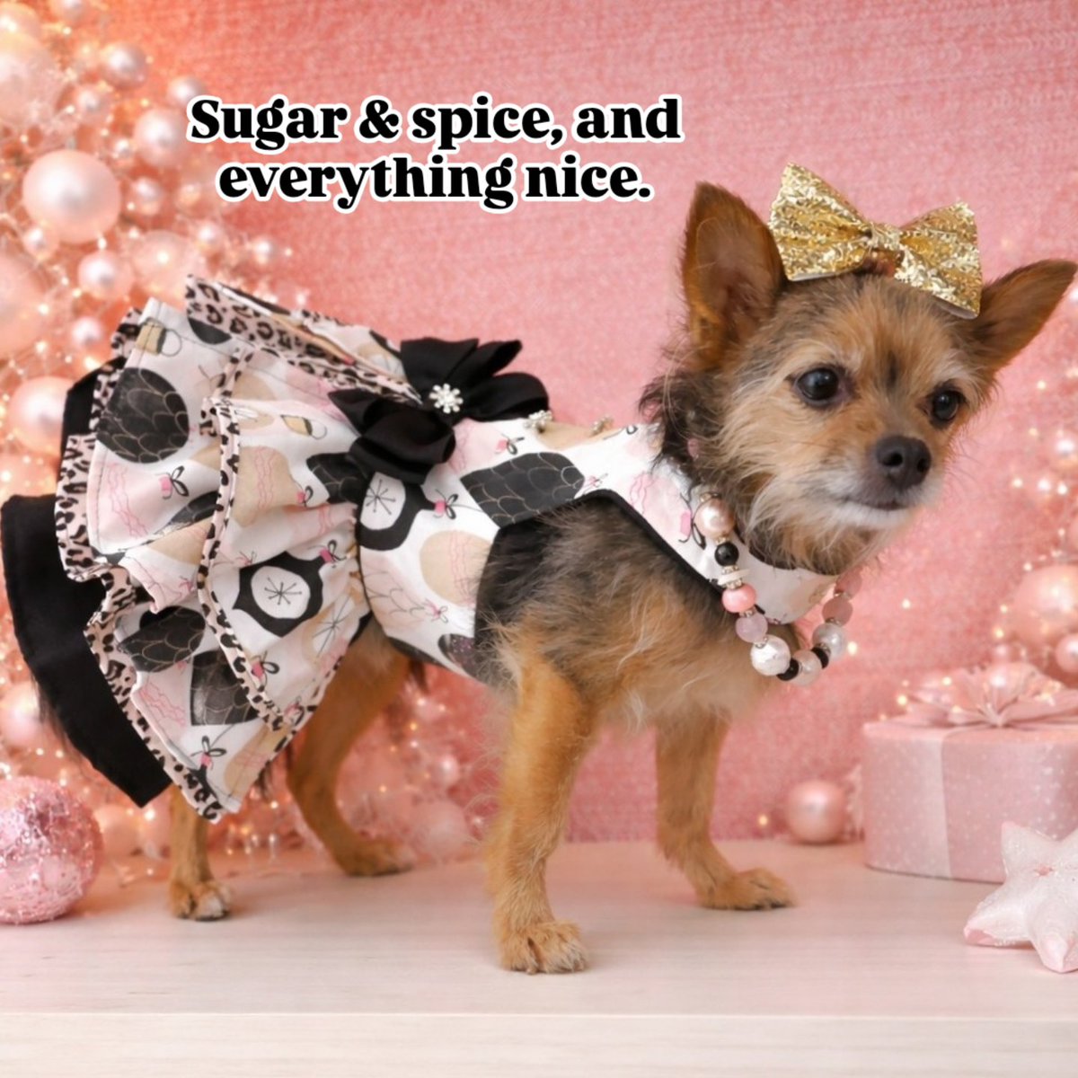 Merry Christmas! ❤️

Wishing everyone a wonderful holiday filled with love, smiles, and cuddles!

#MerryChristmas #dogmas #pinkmas