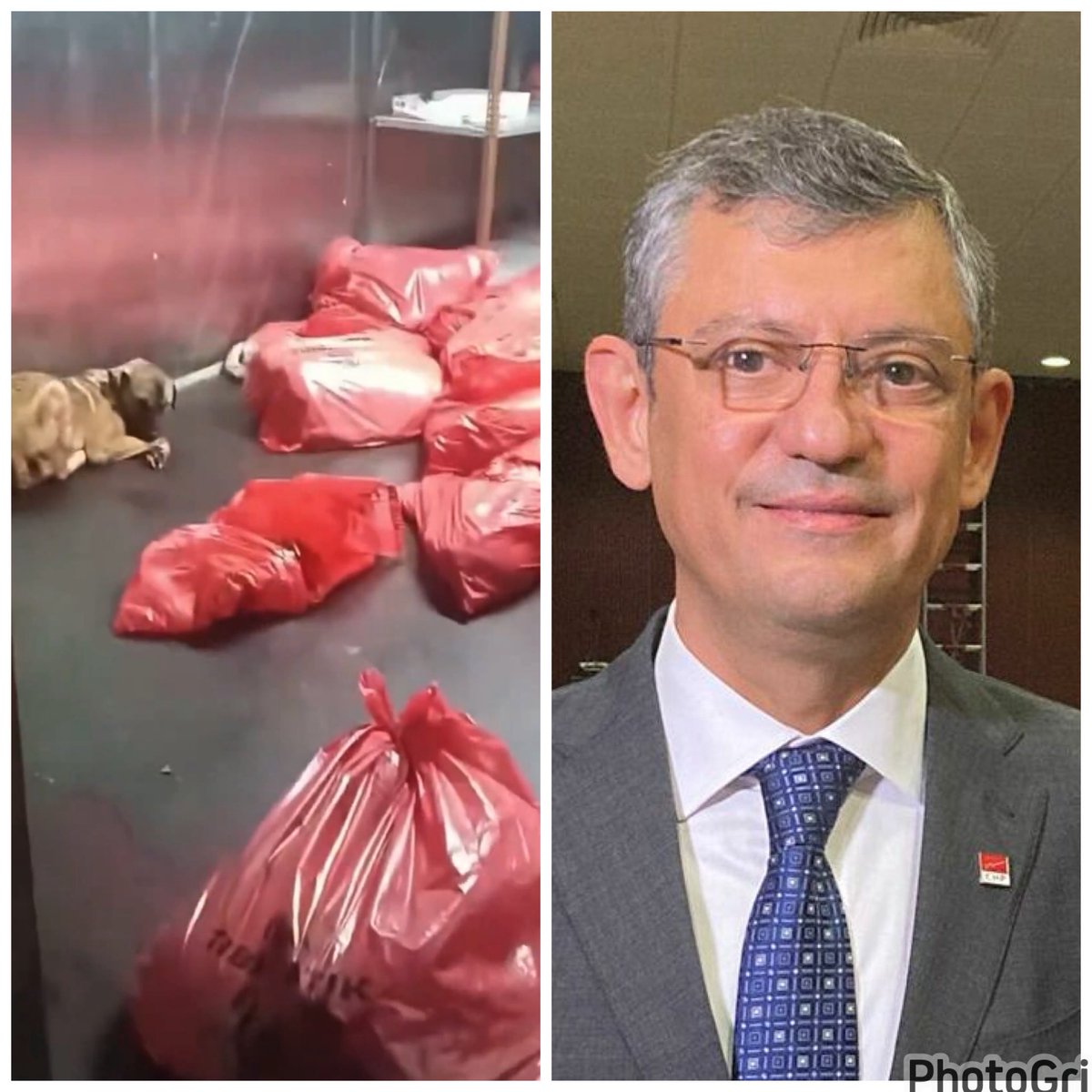 Soldaki Poşetlerde,
Sağdaki Hitler Özentisi Katilin Öldürttüğü
Masumlar Var❗️
ANKARA Karataş Barınağında Her Gün Yüzlerce Can Alan,
Şeytana Tapanlar Var❗️
Özgür,
Senin ÖLDÜRMEYECEĞİZ Yalanının Hesabını Sandıkta Sormazsak NAMERDİZ❗️
Seni Ve O Yaverin MANSUR’u Bu Ülkede Muhtar Bile