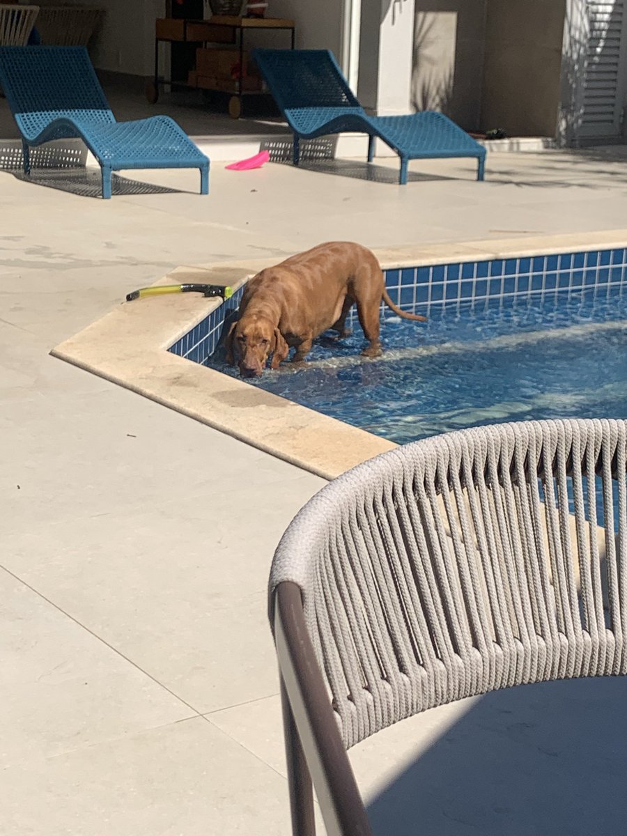 medeixaporonome's tweet photo. parece o Artaud essa piscina kkk #Scrobbles #MediaConsumption #RYM https://t.co/XZGgazi44x