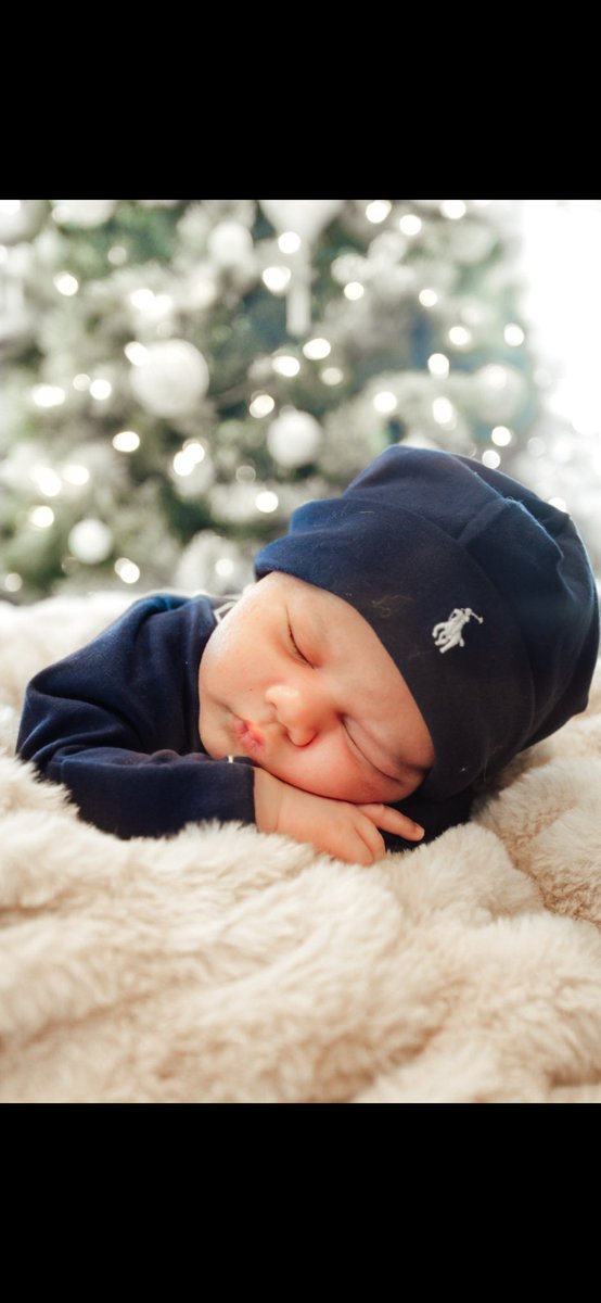 BlowMoney /🕷️ tweet media