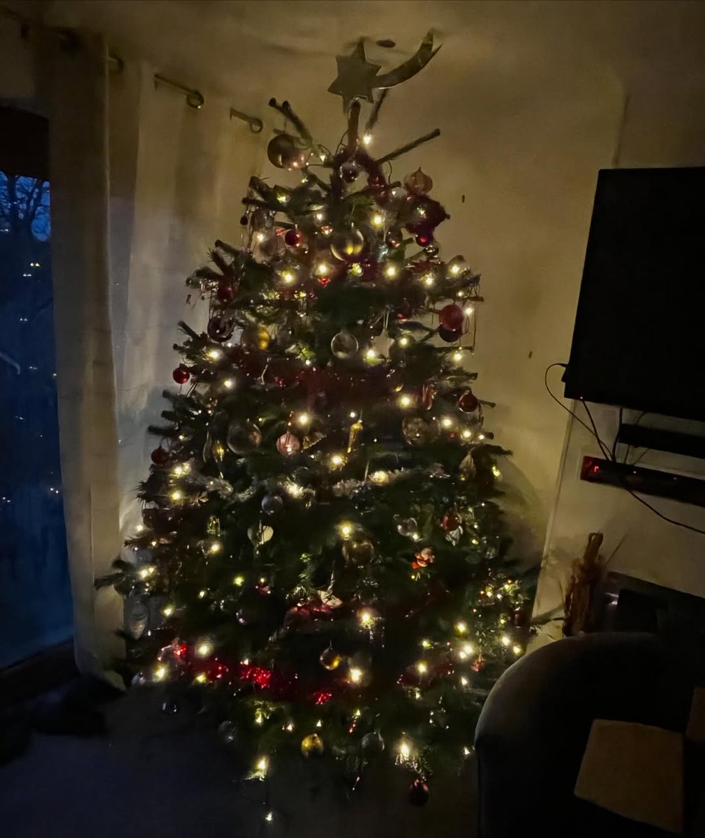 Lunaaenvtuber's tweet photo. I decorated this tree with lots of love and happiness🎄

Wishing you holiday joy!
Show us your tree in the comments!

#Christmas #MerryChristmas2025 https://t.co/J07pXMh2vw