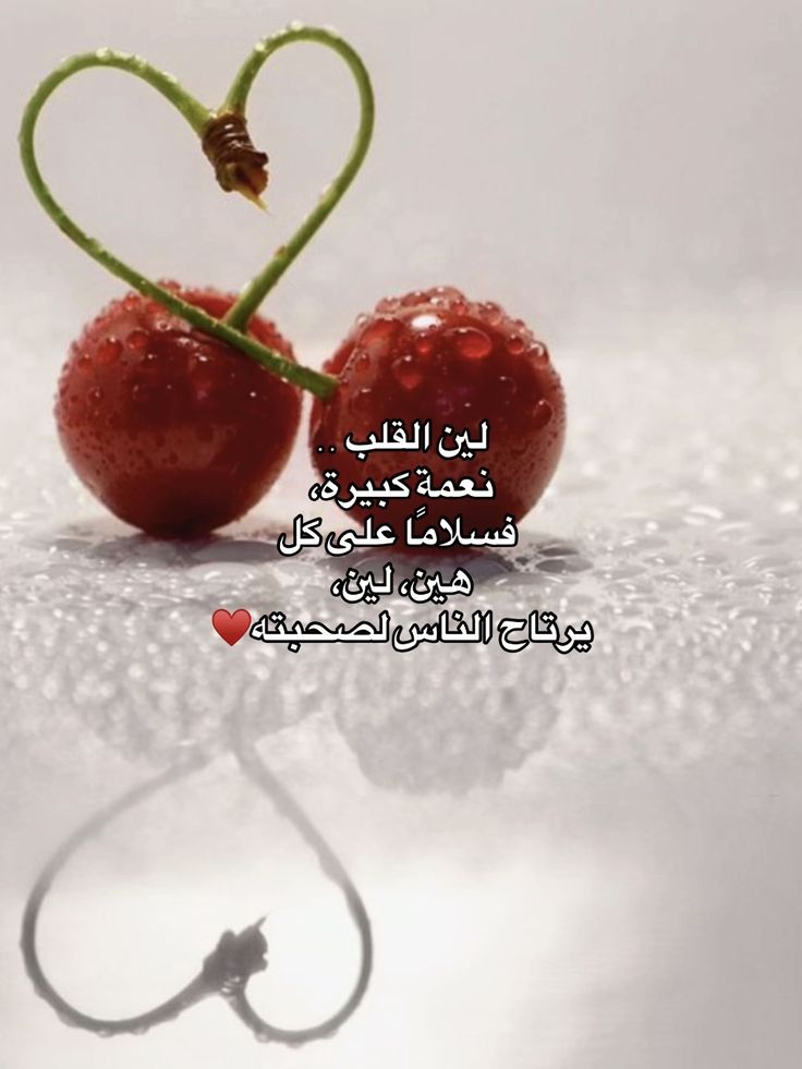 قاسم الصبحي tweet media