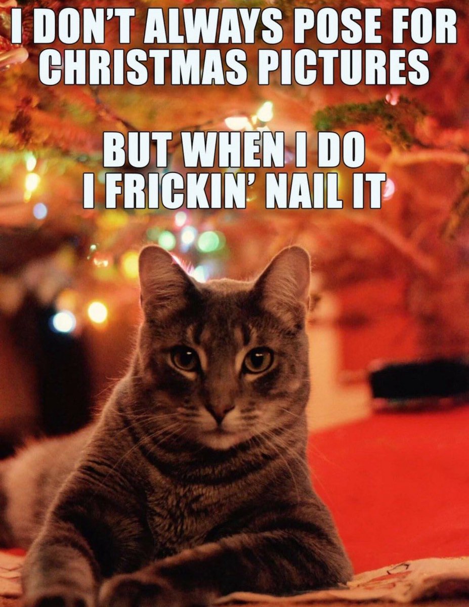 TheRebelPatient's tweet image. A Special Post for Jan Wade, Esq., @WhenCatsRuleUs, a beautiful sister who deserves ALL BLESSINGS for a Merry Christmas! 

May all her pictures be perfect and her sassy little kitty continually bring her all the peace and joy that fills her heart and soul with gladness!!!…