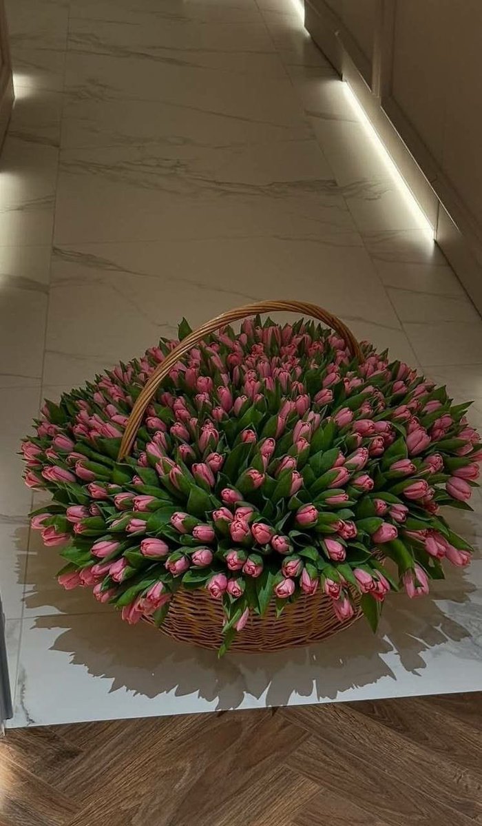 i3Moment's tweet image. 🌷