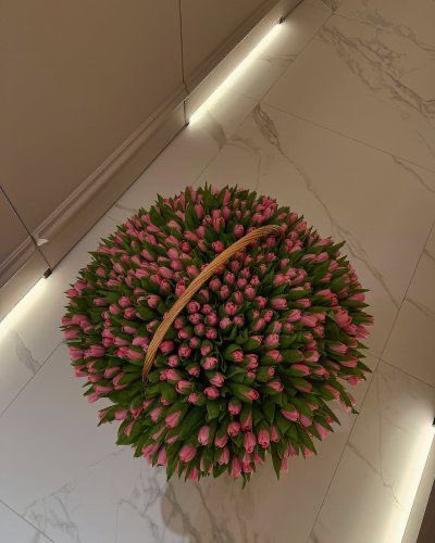 i3Moment's tweet image. 🌷