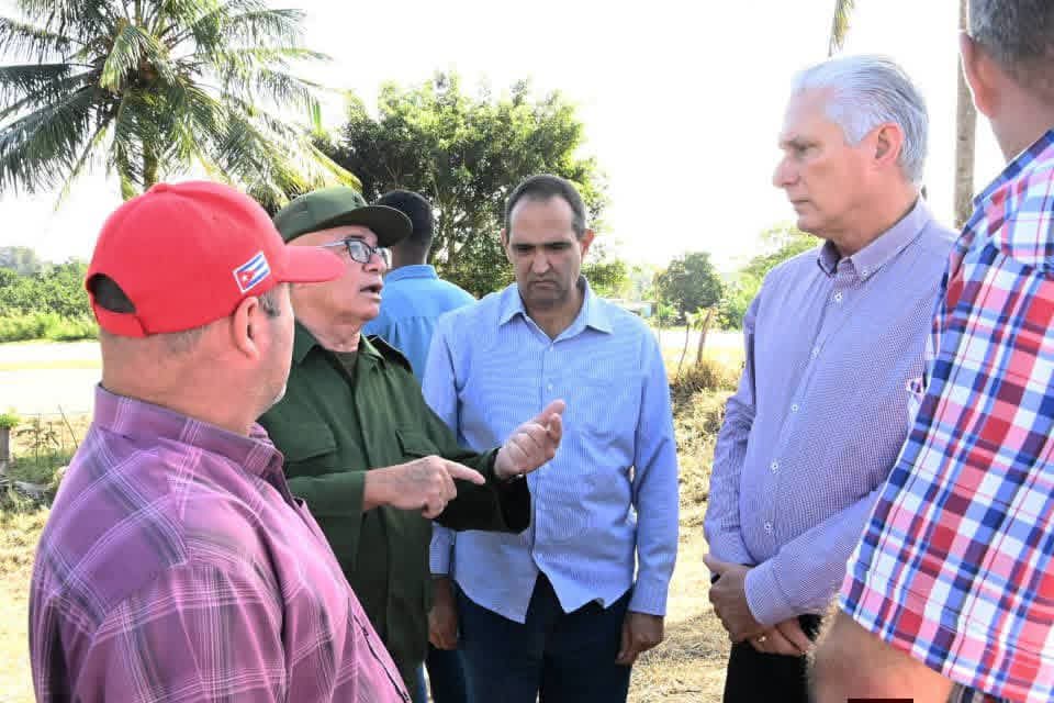 🇨🇺| Llegó el presidente Miguel Díaz-Canel Bermúdez este miércoles a el municipio de Guanabacoa, el mandatario intercambió luego con jefes y  combatientes del EJT que han recuperado el organopónico "Los CDR"...
facebook.com/share/1D5bxWoz…