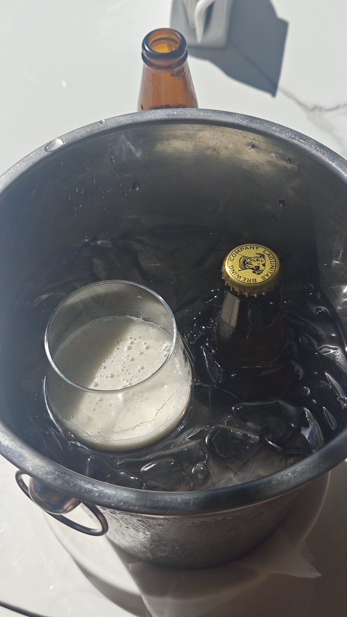 willustrator's tweet image. If your beer is not chillin in an ice bath

Dont @ this acc