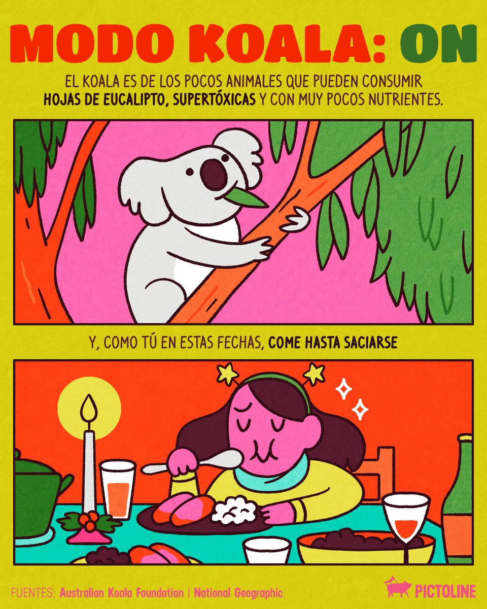 pictoline's tweet image. Si en estas fechas tu único plan es comer, dormir, comer, dormir… ¡Felicidades: eres un koala! 🐨🎄

#koala #feliznavidad #navidad #recalentado #dormir #comer #koalalife #animales #ciencia #pictoline