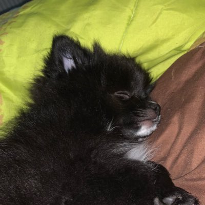 patpsg57's tweet photo. #NouvellePhotoDeProfil https://t.co/xF7xa6x2mL