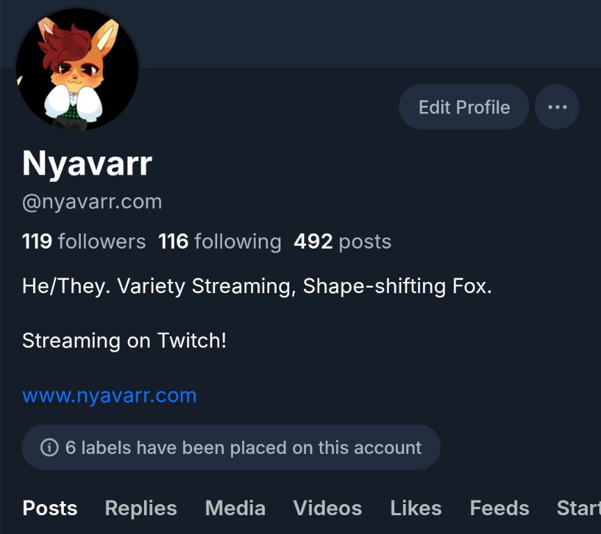 nyavarr's tweet image. Are we sharing our _other site_ profiles 🦋 again because X isn't great?