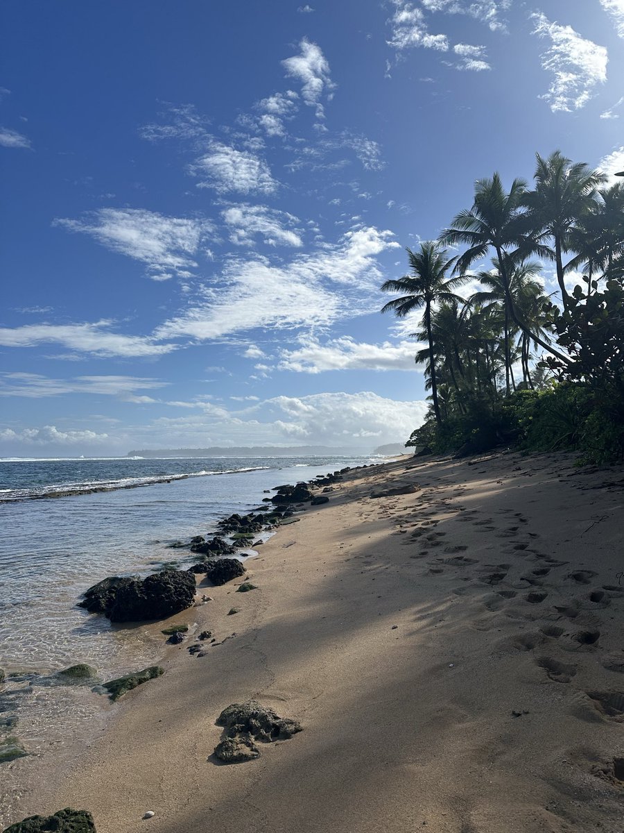 _AmandaHarris's tweet photo. In another life, I was a surfer/snowboarder bum. Alas

Merry Christmas from one of my favorite and prettiest places in the world 🤍 https://t.co/FTWgkdM5u6