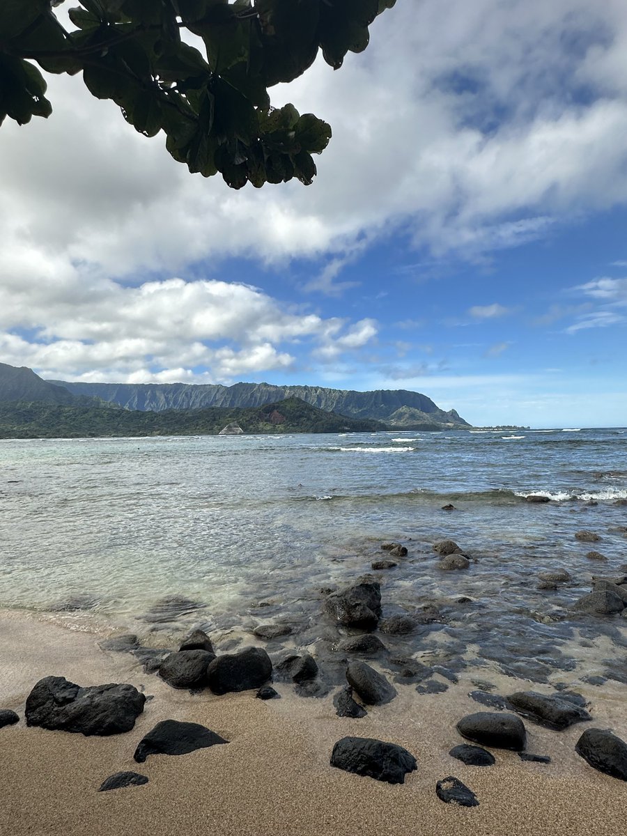 _AmandaHarris's tweet photo. In another life, I was a surfer/snowboarder bum. Alas

Merry Christmas from one of my favorite and prettiest places in the world 🤍 https://t.co/FTWgkdM5u6