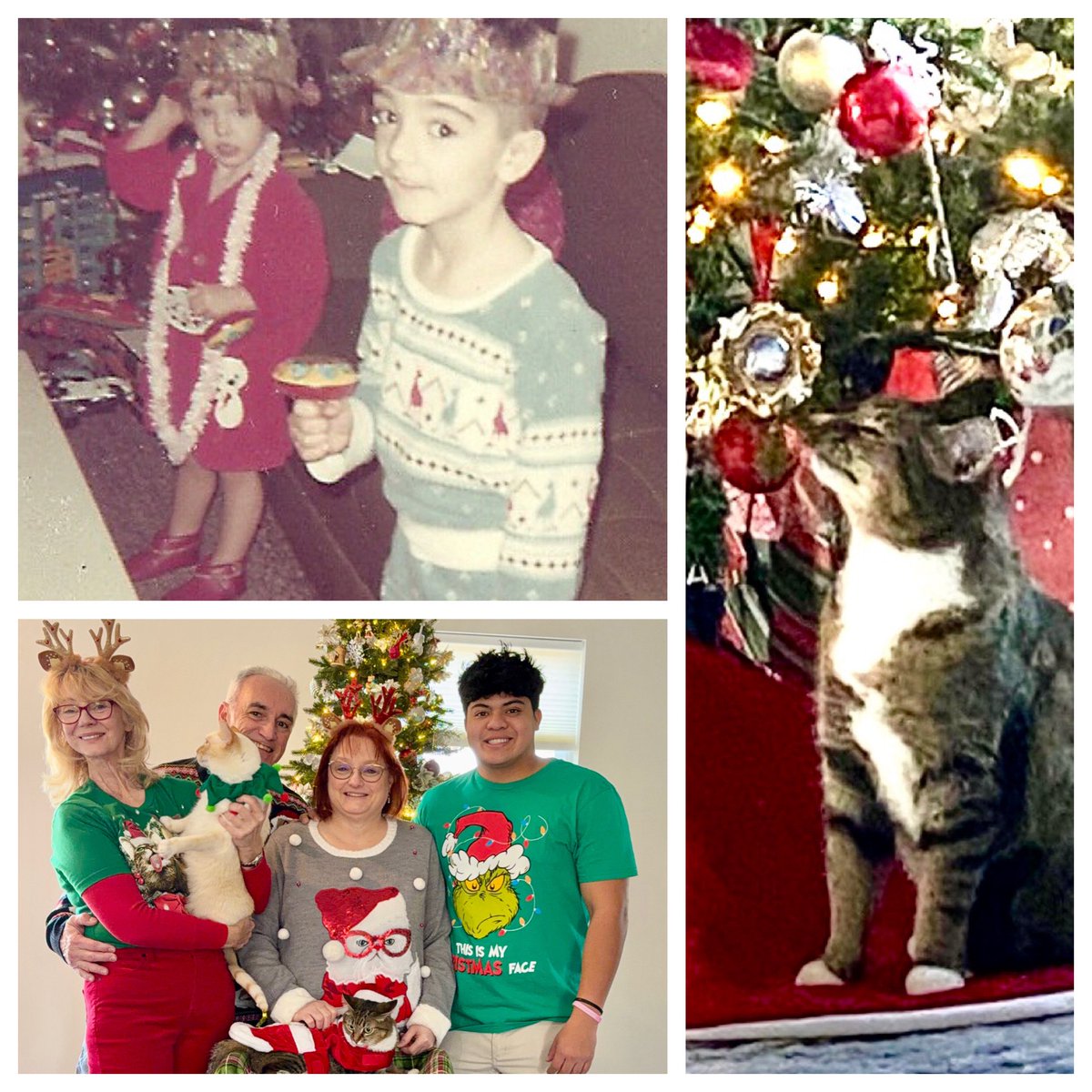 Lenny Batycki tweet media