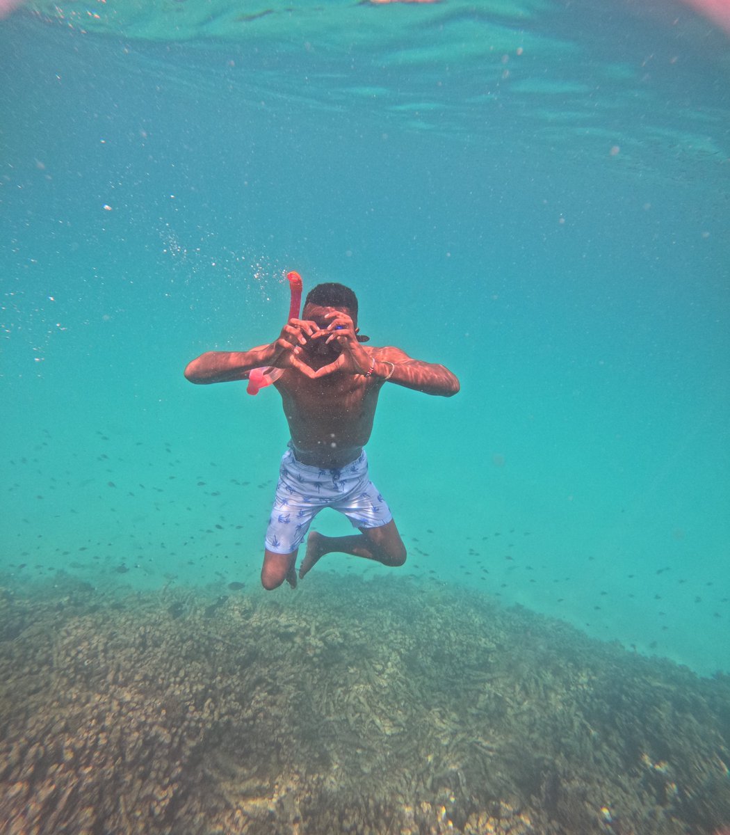amoni_elvis's tweet photo. Dear Santa, I went underwater instead of under the tree
#SnorkelSquad #FunnyButTrue #ChristmasButMakeItBeach #OceanOverEverything #HolidayHumor #SnorkelingLife #BoldVibes #BeachModeOn #ChristmasVibes #AdventureGram #UnderwaterFun https://t.co/qNz5VZqA3t